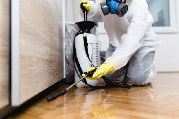 Best Pest Control Near Me  in Lake Holiday, IL