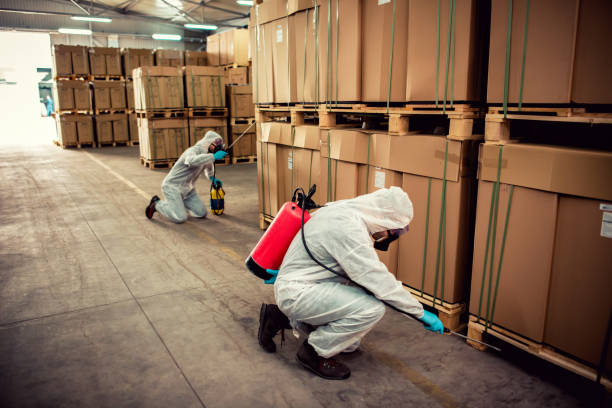 Best Pest Inspection Near Me  in Lake Holiday, IL