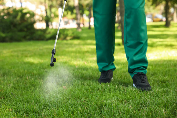 Best Ant Control Services  in Lake Holiday, IL