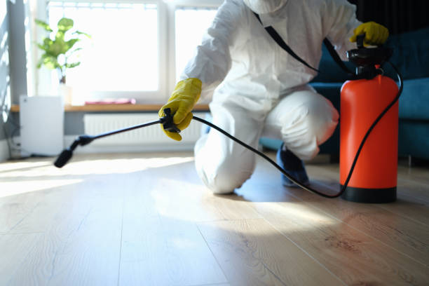 Best Local Pest Control Services  in Lake Holiday, IL