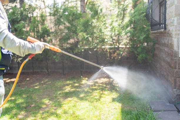Best Pest Prevention Services  in Lake Holiday, IL