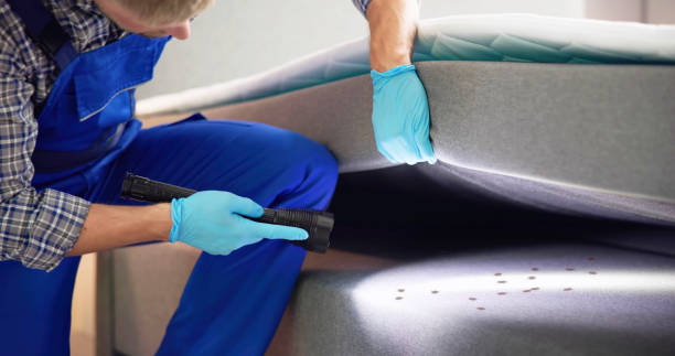 Best Exterminator Services  in Lake Holiday, IL