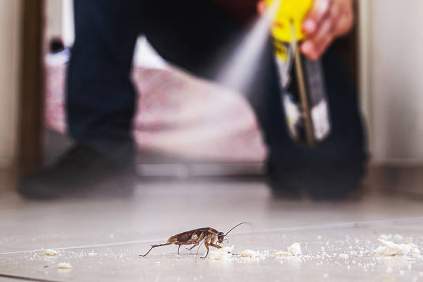 Best Cockroach Control Services  in Lake Holiday, IL