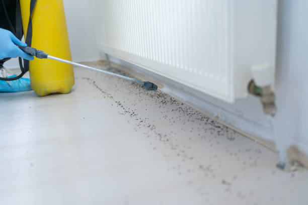 Best Bed Bug Extermination  in Lake Holiday, IL