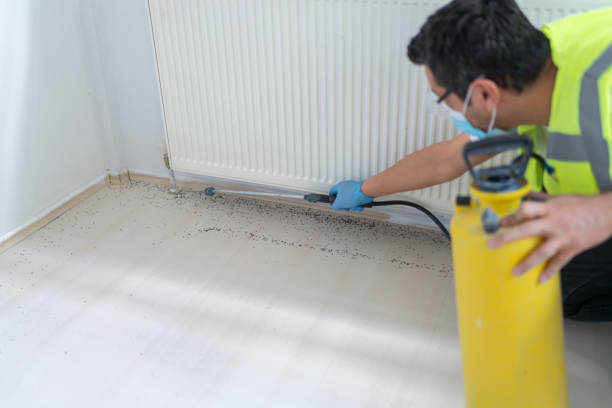Best Emergency Pest Control  in Lake Holiday, IL