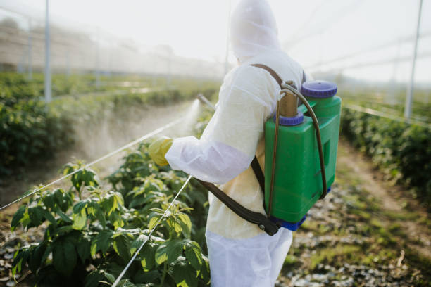 Trusted Lake Holiday, IL Pest Control Experts